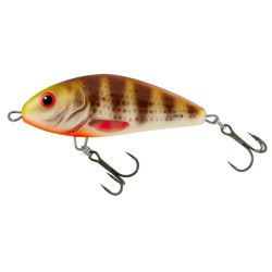 #7508 fatso-spotted-brown-perch