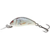 #7162 salmo-wobler-hornet-floating-real-dance-3-5cm-plavajuci