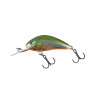 #6842 qht1004_007_013_019_salmo_hornet_holo_oikawa