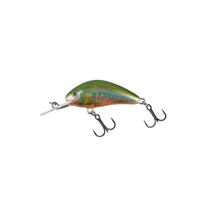 #6862 salmo-wobler-hornet-sinking-holo-oikawa