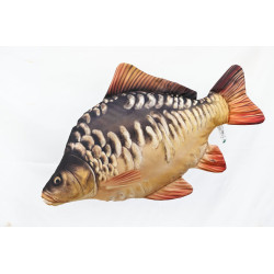#8033 carp-1