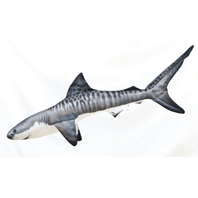 #8034 shark-1