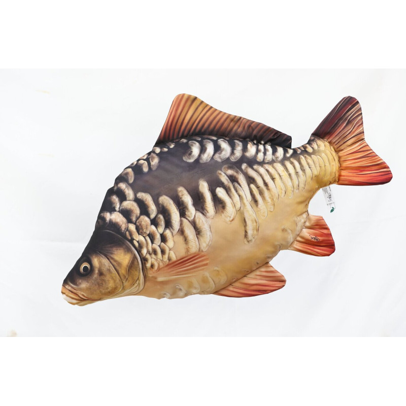 #8033 carp-1