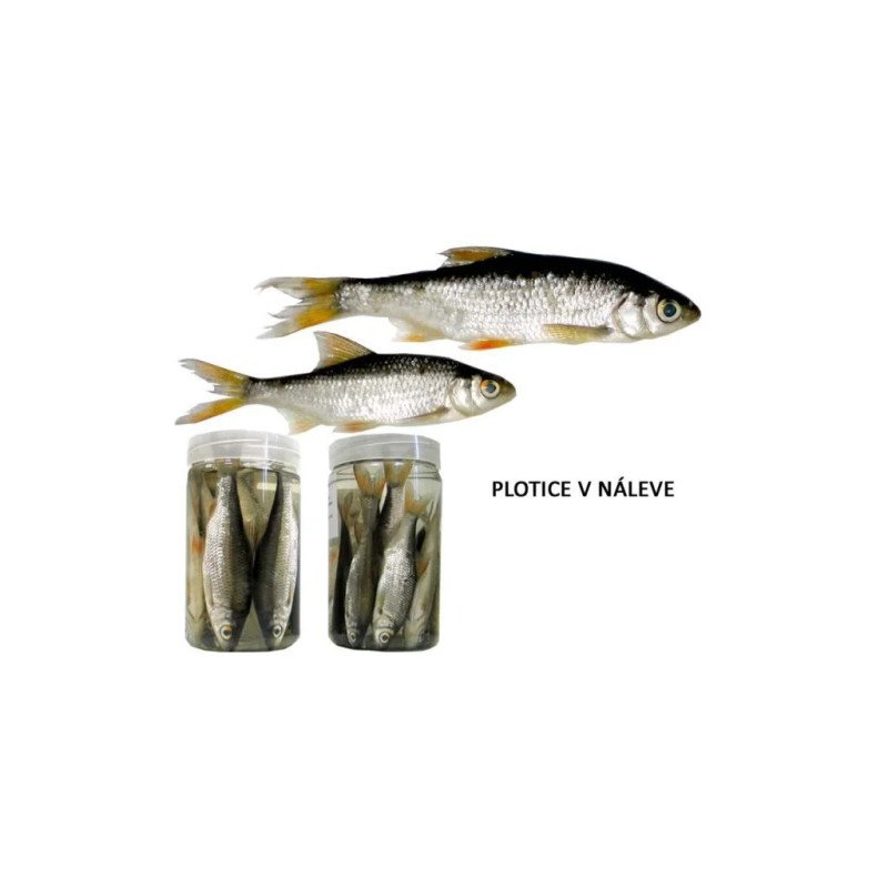 #8325 4818_plotice-v-naleve-10-12-cm