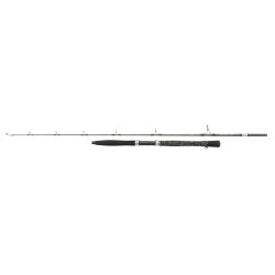 #0160 LegionCatSilver_BellyPump_2021_1519185_alt2